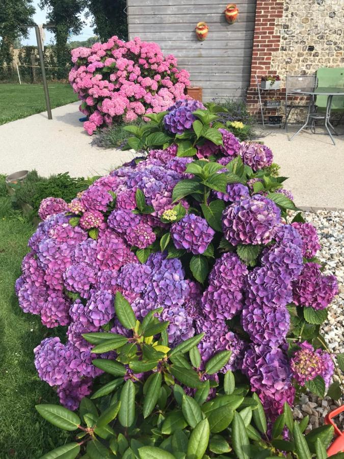 Thiergeville La Grange Aux Hortensias מראה חיצוני תמונה
